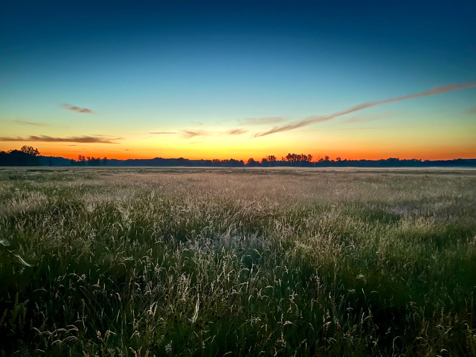 Morgendämmerung über der Wiese, die beste Zeit für das Wärmebild